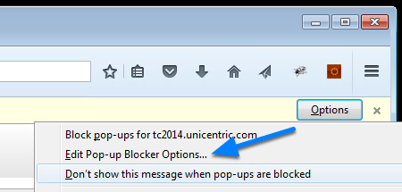 Select Edit Pop-up Blocker Options
